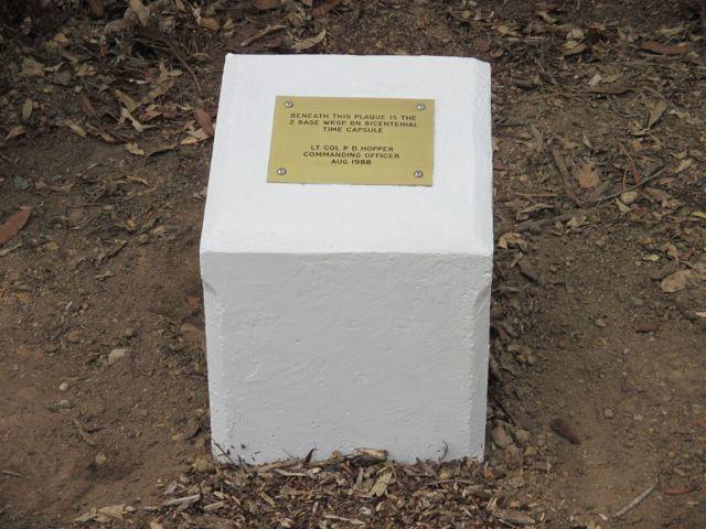 capsule3